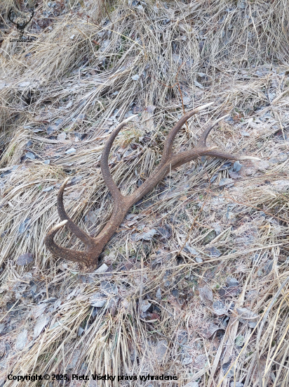 16torak