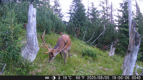 Čaro horského hrebeňa
