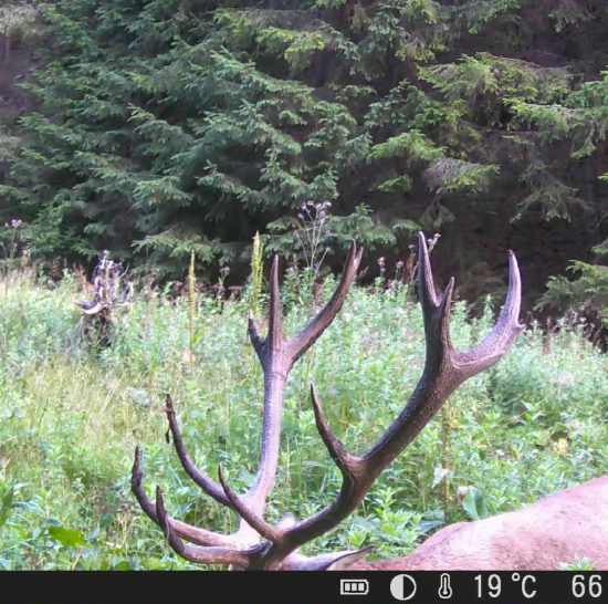 Blíži sa hlas hôr