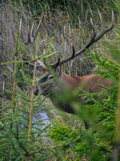 Ukrytá sila prírody