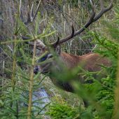 Ukrytá sila prírody