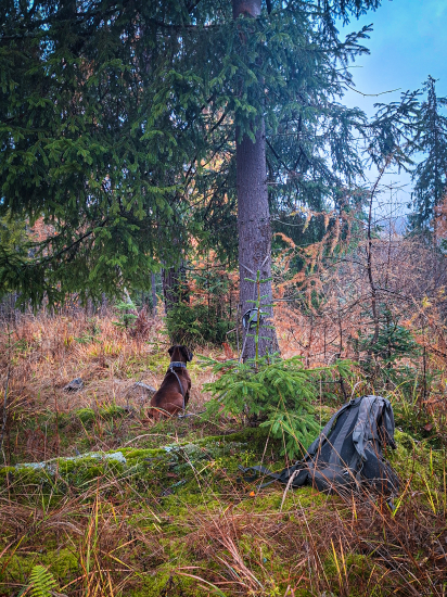 ,,Fotopasca nastrážená