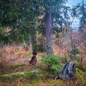 ,,Fotopasca nastrážená