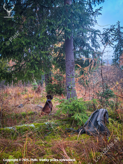 ,,Fotopasca nastrážená