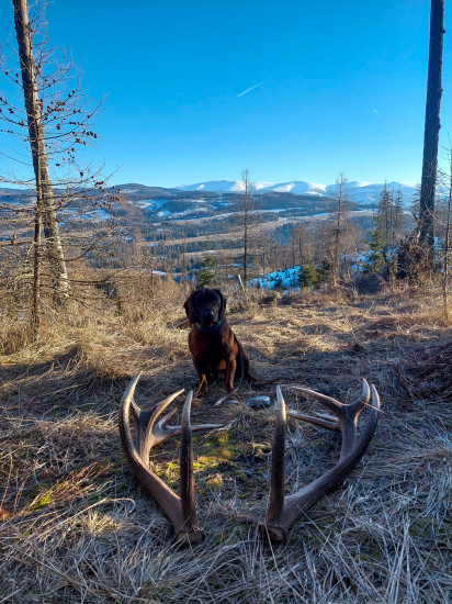 Archívna fotka sezóna 2023