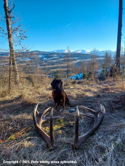 Archívna fotka sezóna 2023