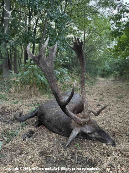 už to začalo !