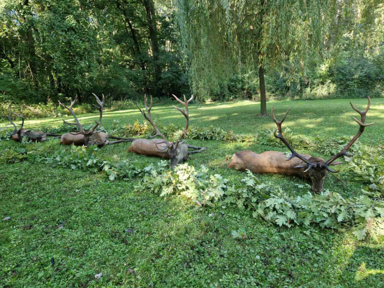 Ruja 2025 v Maďarsku