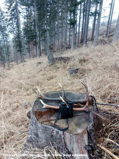 Dnešná prechadzka