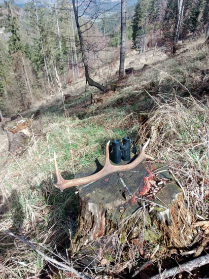 Veľkonočný desatorak