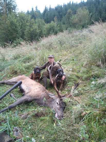 Úspešná dohladavka