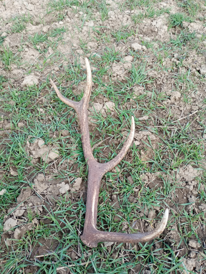 Dúfam že nebude posledný