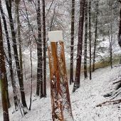 Nové solisko, slúž všetkým obyvateľom lesa...