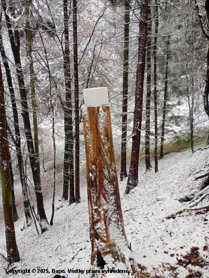 Nové solisko, slúž všetkým obyvateľom lesa...
