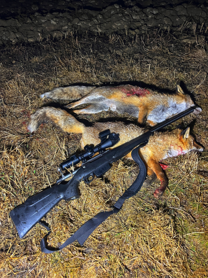 Keď pršalo a mrholilo