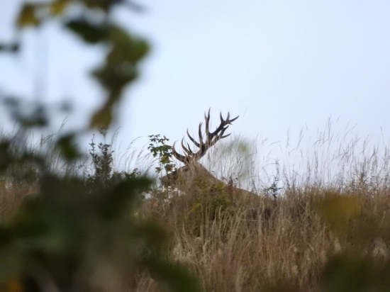 Koľko výsad že tam je?!