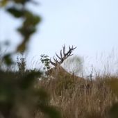 Koľko výsad že tam je?!