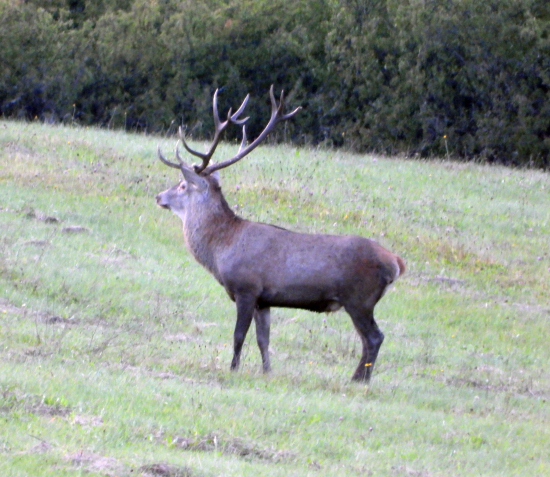 no aspoň jeden, keď to už tak dopadlo....
