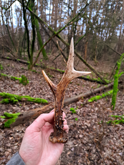 Jeden z tých krajších