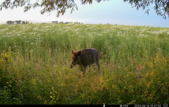 Začínajú sa ukazovať