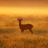 Čarovný východ slnka