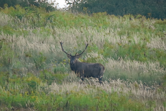 Na protiľahlom kopci