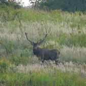 Na protiľahlom kopci