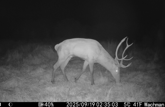 Prišiel na prieskum