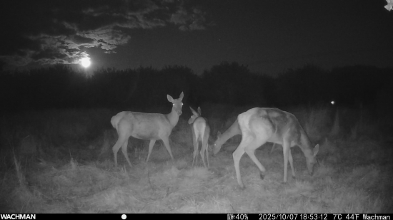 Damska jazda počas splnu