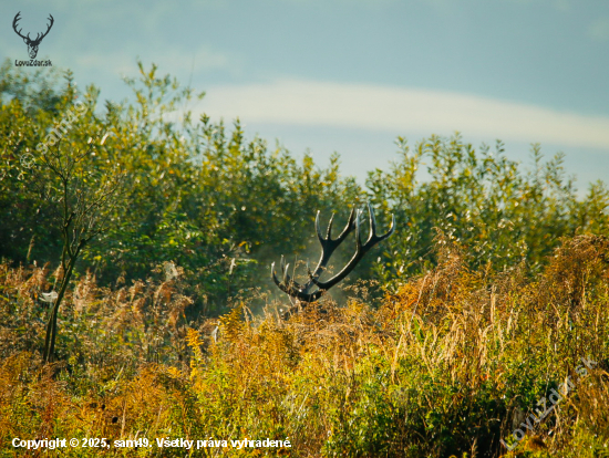 Ked sa rozbúši srdce