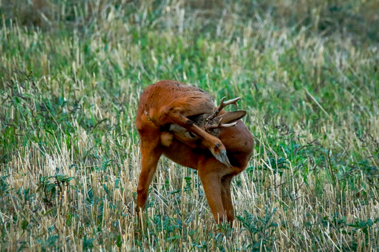 Treba ostať čistý :)
