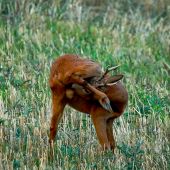 Treba ostať čistý :)