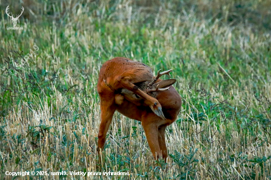 Treba ostať čistý :)