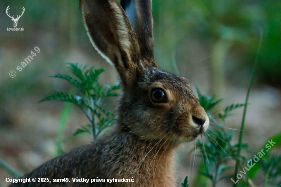 Nezmestil sa do záberu :)