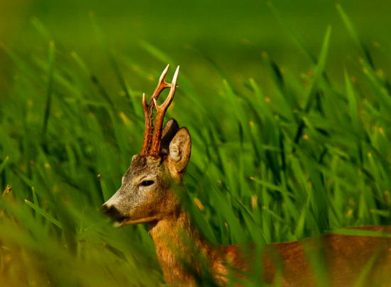Pekná výška mladíka