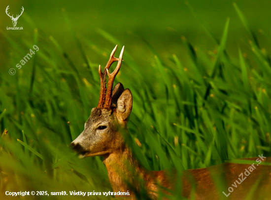 Pekná výška mladíka