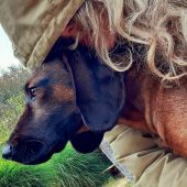 Dokonale prepojenie...