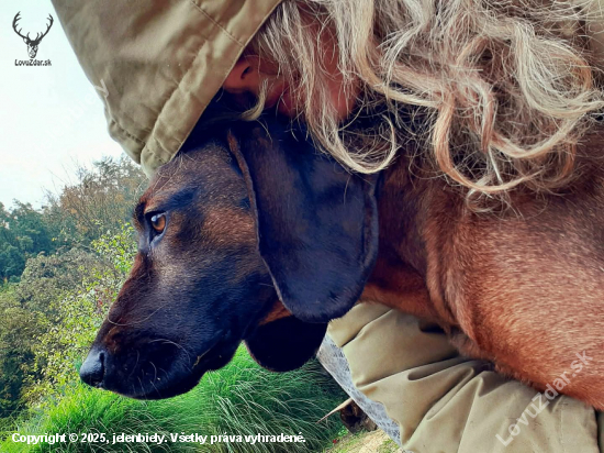 Dokonale prepojenie...