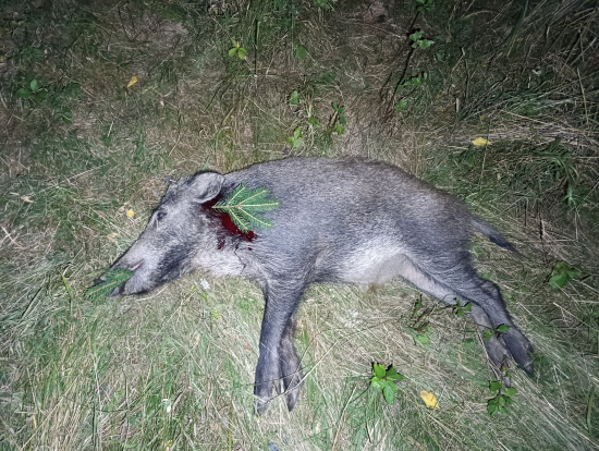 Ôsmy v slivkovom sade