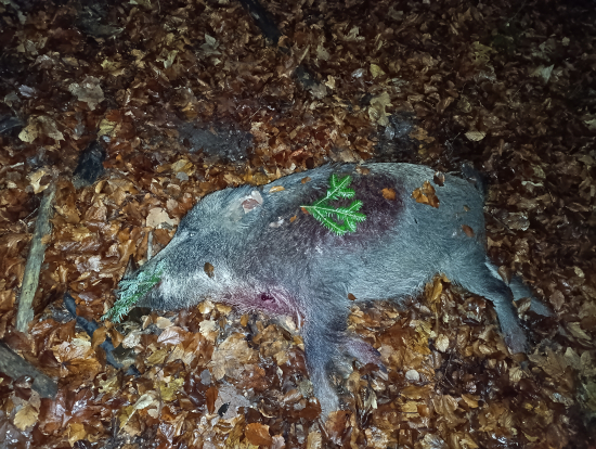 Lanštiak na dve rany