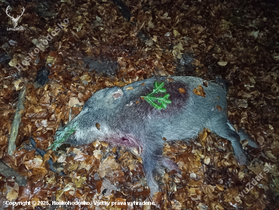 Lanštiak na dve rany