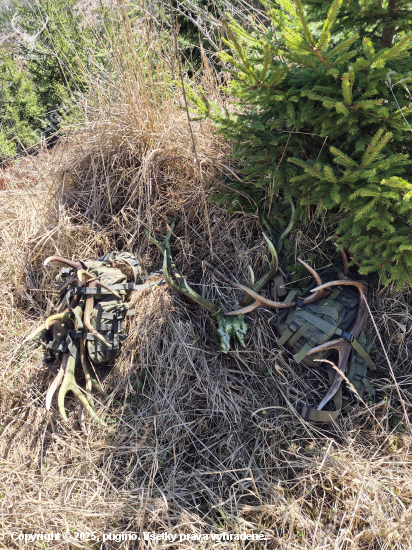 Biela sobota