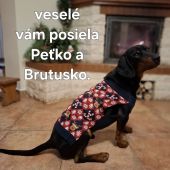 Priatelia krásne sviatky Vám prajem