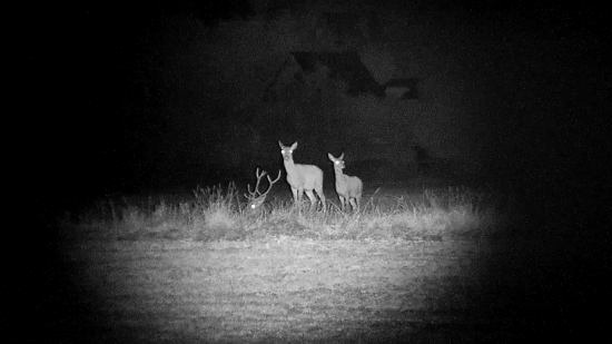 Odpočinok po večeri