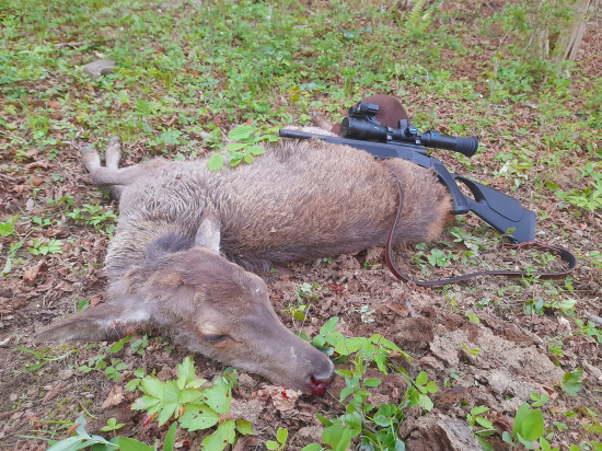 Prvý kus s novú flintu .