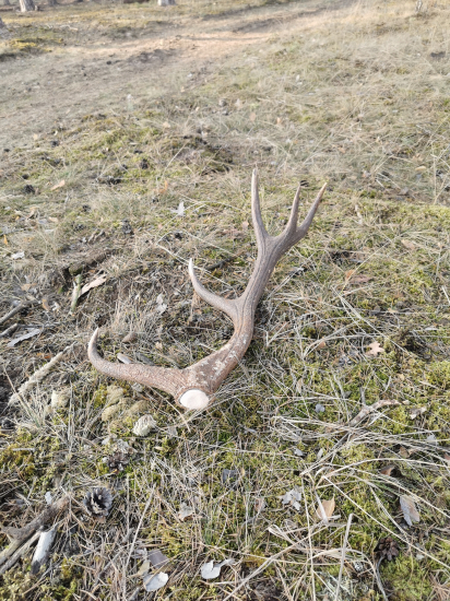 Prvý v tejto sezóne