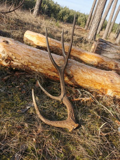 Úspešná prechádzka