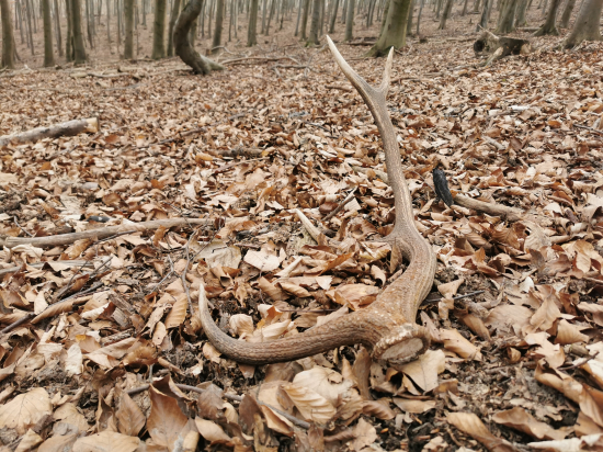 Aj v horách sa podarilo