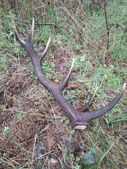 Jeden z najkrajších