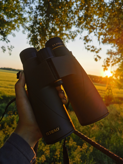 TETRAO Elanus 8x56 HD